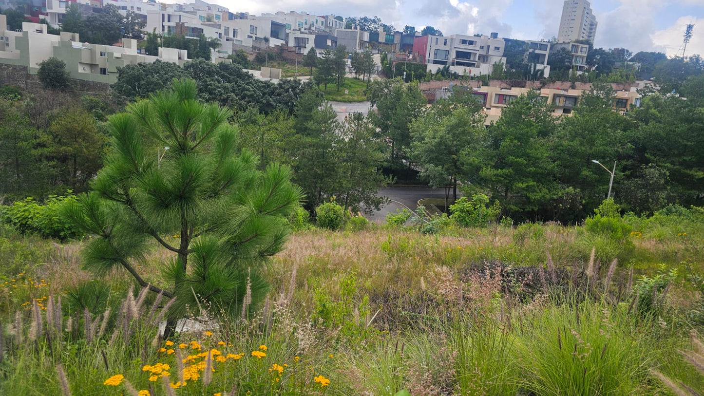 TERRENO EN VENTA EN BOSQUE MONARCA ALTOZANO, MORELIA